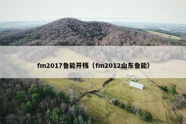 fm2017鲁能开档（fm2012山东鲁能）