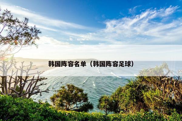 韩国阵容名单（韩国阵容足球）