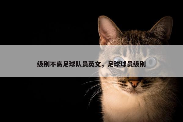 级别不高足球队员英文，足球球员级别