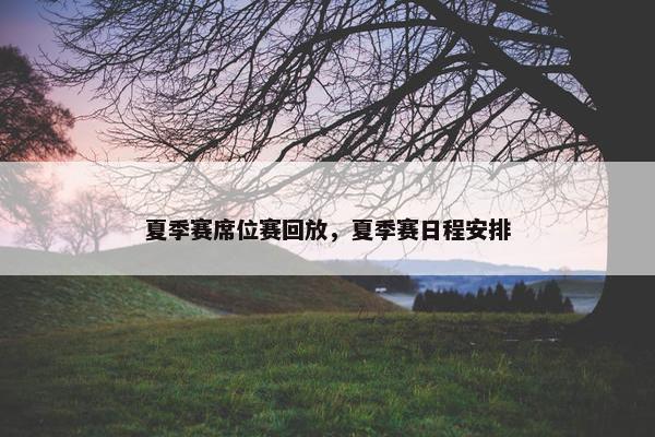 夏季赛席位赛回放，夏季赛日程安排