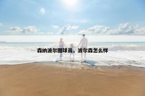 森纳波尔图球员，波尔森怎么样