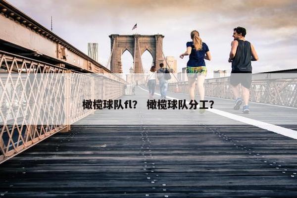 橄榄球队fl？ 橄榄球队分工？