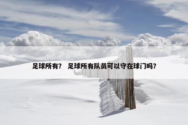 足球所有？ 足球所有队员可以守在球门吗？