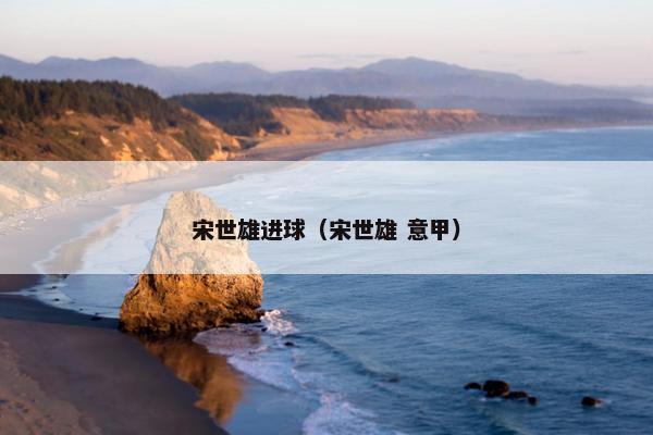 宋世雄进球（宋世雄 意甲）