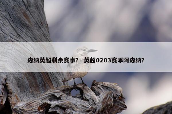 森纳英超剩余赛事？ 英超0203赛季阿森纳？