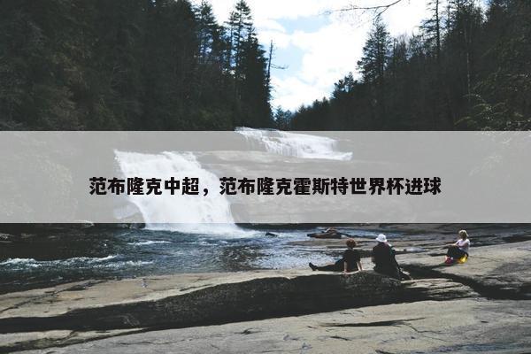 范布隆克中超，范布隆克霍斯特世界杯进球