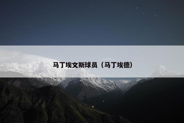 马丁埃文斯球员（马丁埃德）