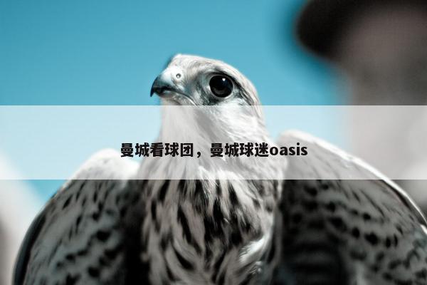 曼城看球团，曼城球迷oasis