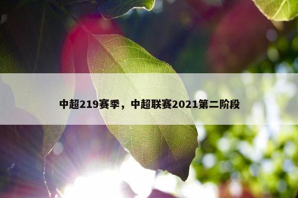中超219赛季，中超联赛2021第二阶段