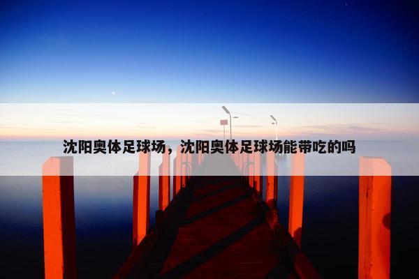 沈阳奥体足球场，沈阳奥体足球场能带吃的吗