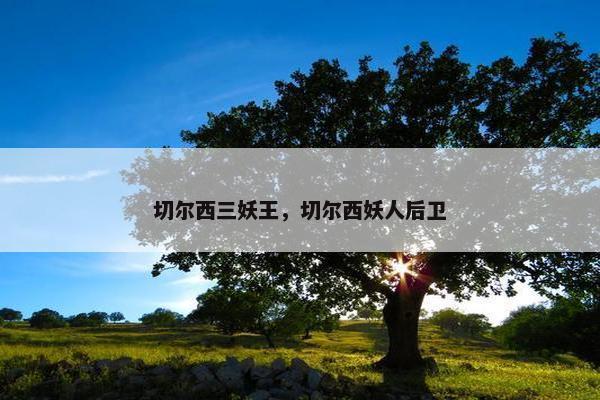 切尔西三妖王，切尔西妖人后卫