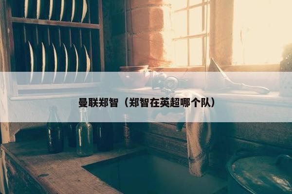曼联郑智（郑智在英超哪个队）