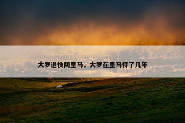 大罗退役回皇马，大罗在皇马待了几年