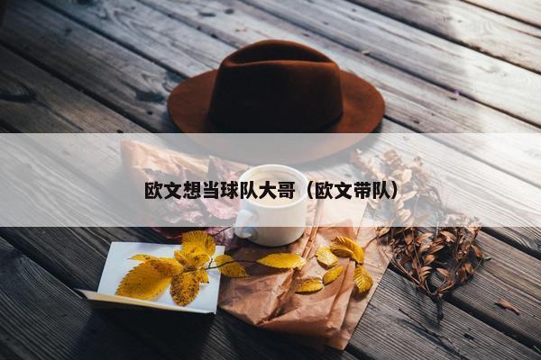 欧文想当球队大哥（欧文带队）