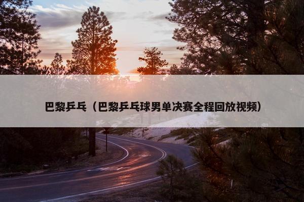 巴黎乒乓（巴黎乒乓球男单决赛全程回放视频）