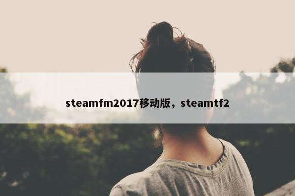 steamfm2017移动版，steamtf2