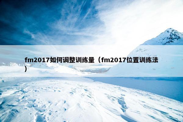 fm2017如何调整训练量（fm2017位置训练法）