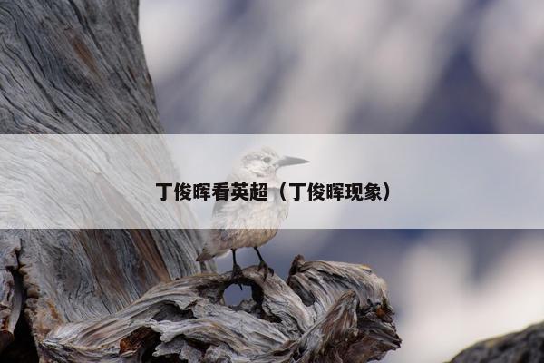 丁俊晖看英超（丁俊晖现象）