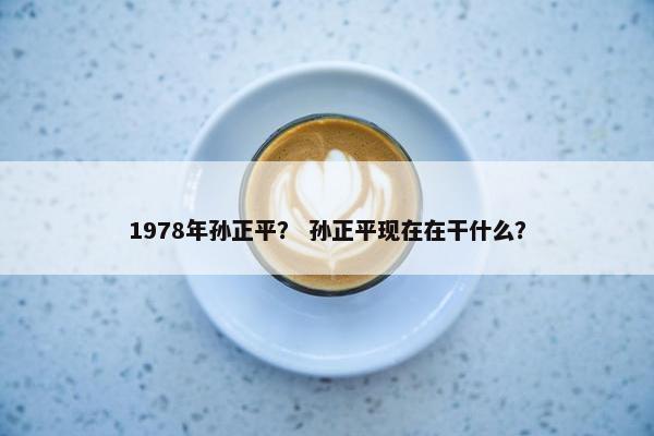 1978年孙正平？ 孙正平现在在干什么？