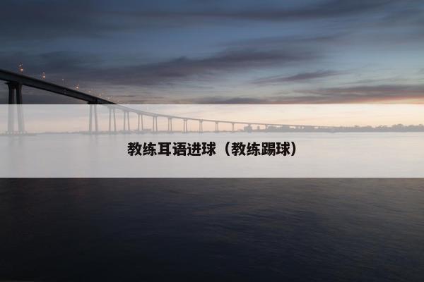 教练耳语进球（教练踢球）