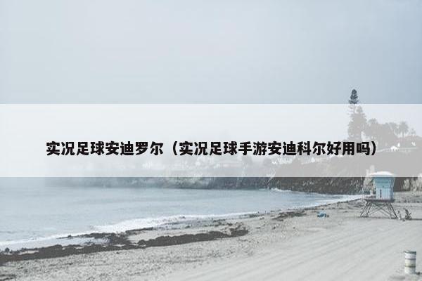 实况足球安迪罗尔（实况足球手游安迪科尔好用吗）