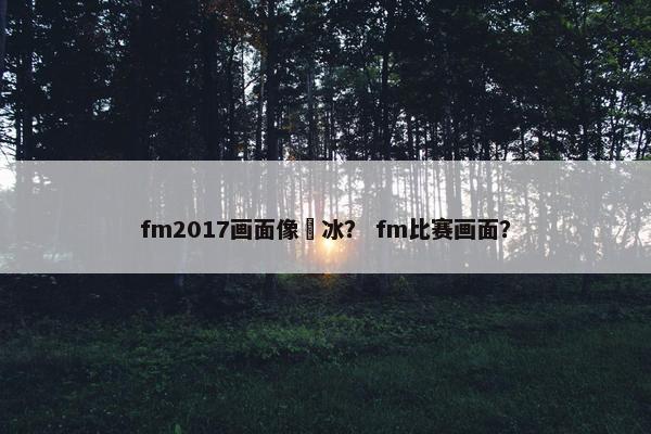 fm2017画面像蹓冰？ fm比赛画面？