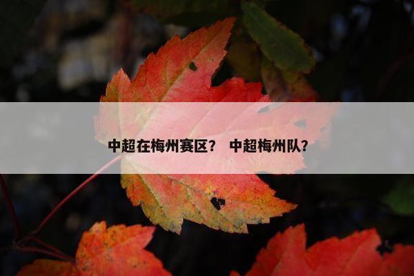 中超在梅州赛区？ 中超梅州队？