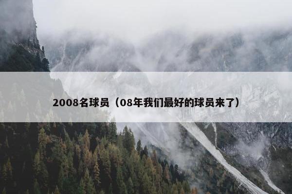 2008名球员（08年我们最好的球员来了）