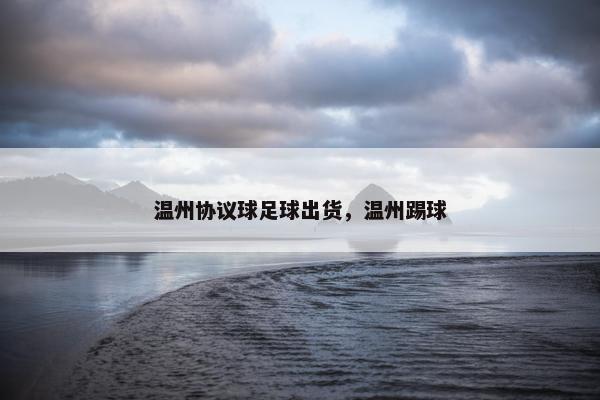 温州协议球足球出货，温州踢球
