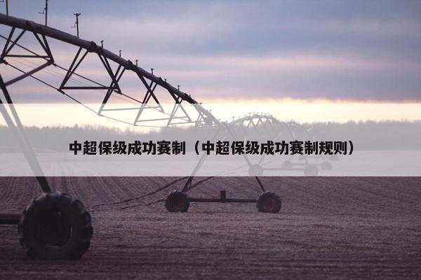中超保级成功赛制（中超保级成功赛制规则）