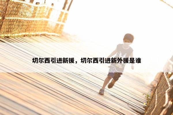 切尔西引进新援，切尔西引进新外援是谁