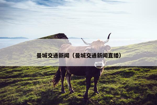 曼城交通新闻（曼城交通新闻直播）