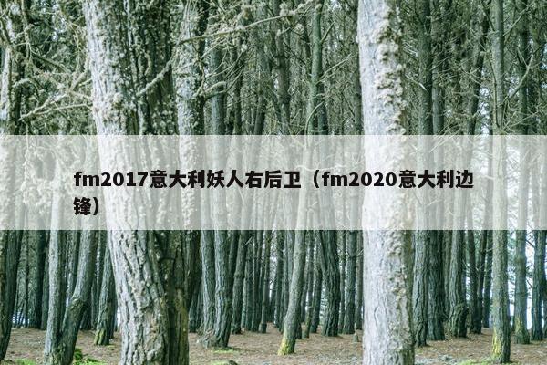 fm2017意大利妖人右后卫（fm2020意大利边锋）