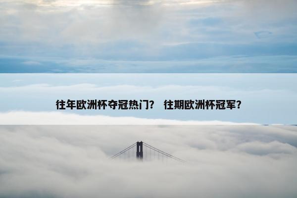 往年欧洲杯夺冠热门？ 往期欧洲杯冠军？