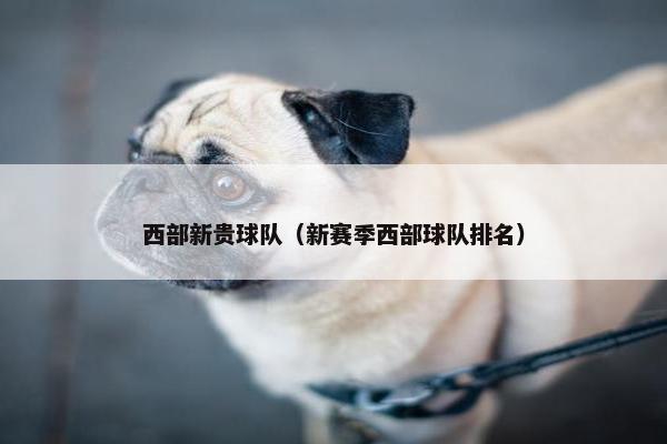 西部新贵球队（新赛季西部球队排名）
