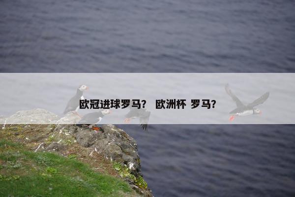 欧冠进球罗马？ 欧洲杯 罗马？