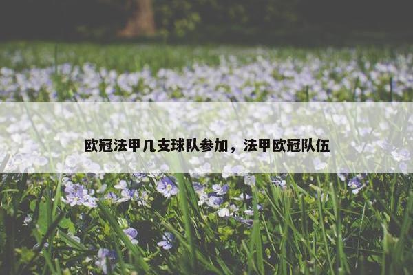 欧冠法甲几支球队参加，法甲欧冠队伍