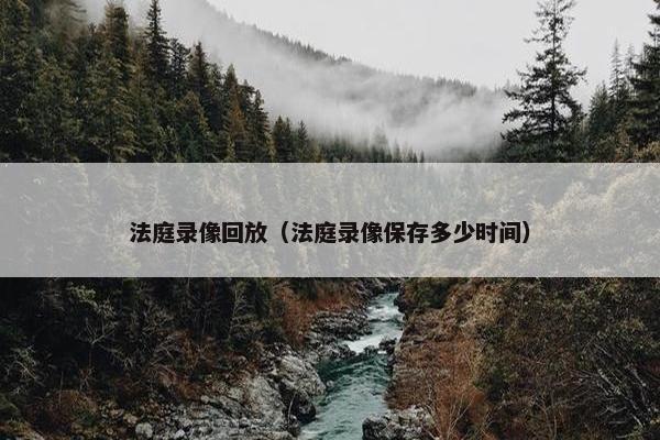 法庭录像回放（法庭录像保存多少时间）