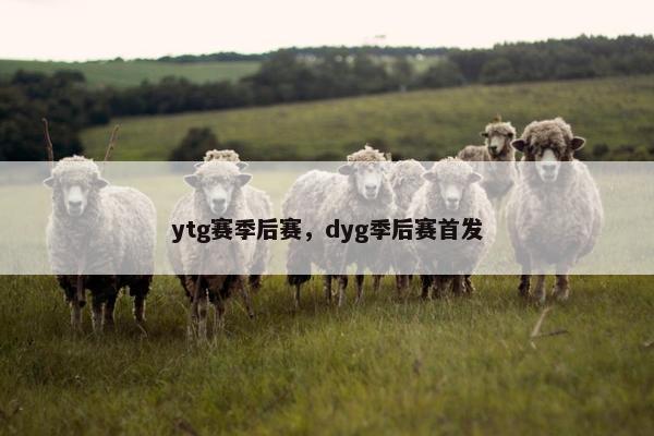 ytg赛季后赛，dyg季后赛首发