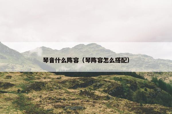 琴音什么阵容（琴阵容怎么搭配）