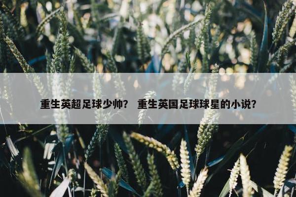 重生英超足球少帅？ 重生英国足球球星的小说？