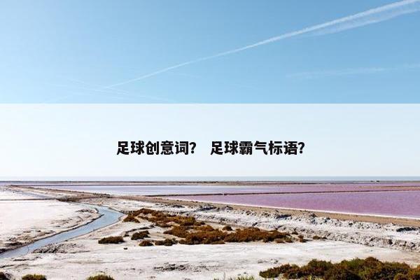 足球创意词？ 足球霸气标语？