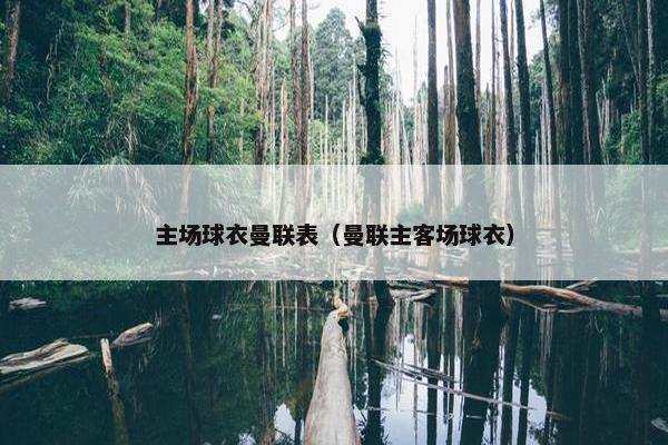 主场球衣曼联表（曼联主客场球衣）