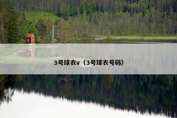 3号球衣v（3号球衣号码）
