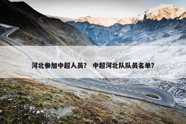 河北参加中超人员？ 中超河北队队员名单？