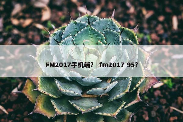 FM2017手机端？ fm2017 95？