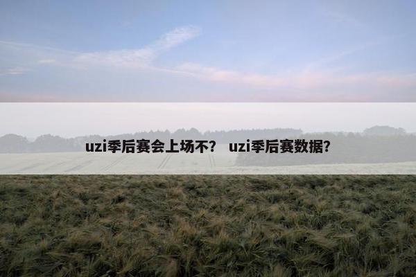 uzi季后赛会上场不？ uzi季后赛数据？