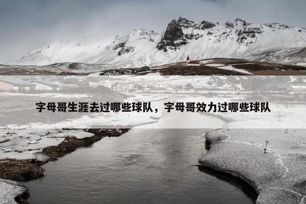 字母哥生涯去过哪些球队，字母哥效力过哪些球队