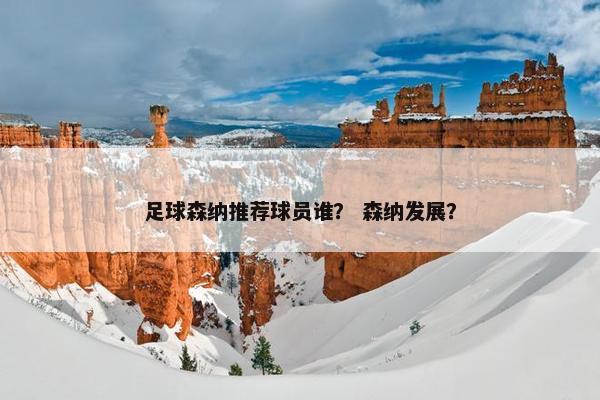 足球森纳推荐球员谁？ 森纳发展？