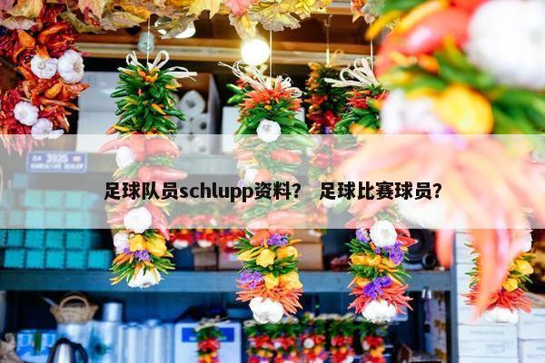 足球队员schlupp资料？ 足球比赛球员？